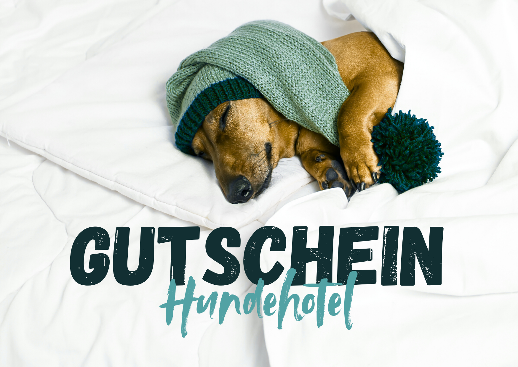 Gutschein – Bild 2
