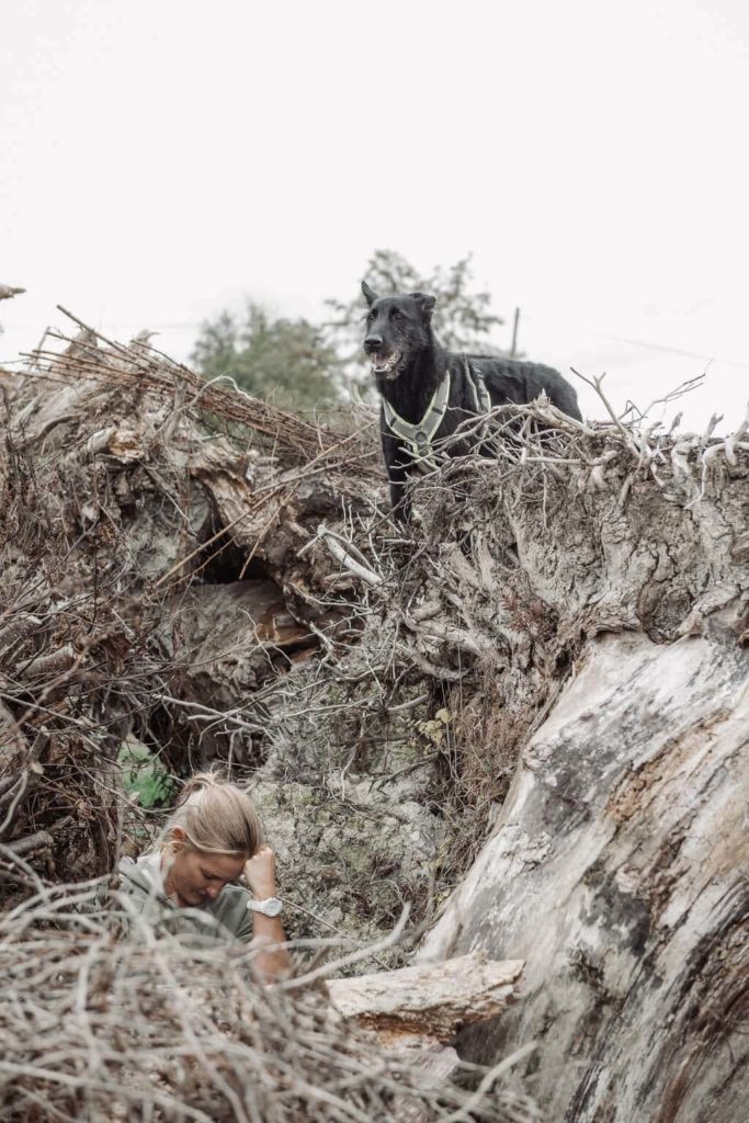 Schwarzer Hund steht über einem umgestürzten Baum auf unwegsamen Gelände. Weiter unten stützt eine Frau ihren Kopf auf ihrer Faust ab. Der Hund sucht die Frau.