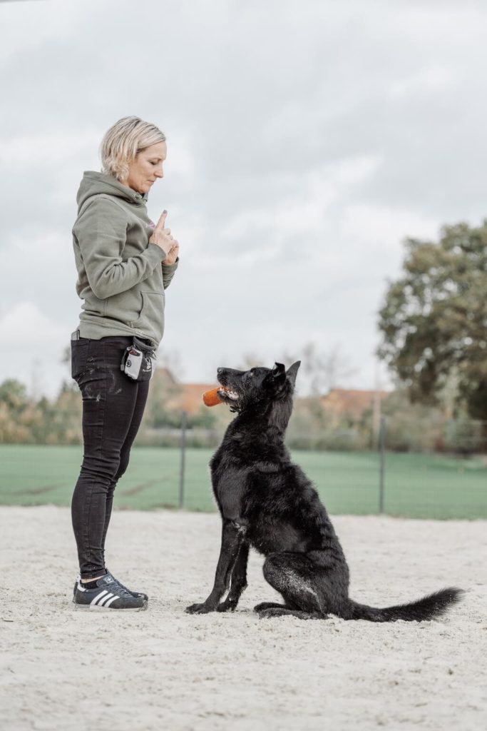 Schwarzer Hund sitz vor seiner Hundehalterin und hat ein Dummy im Fang. Beide befinden sich im eingezäunten Hundeplatz beim Apportier-Training