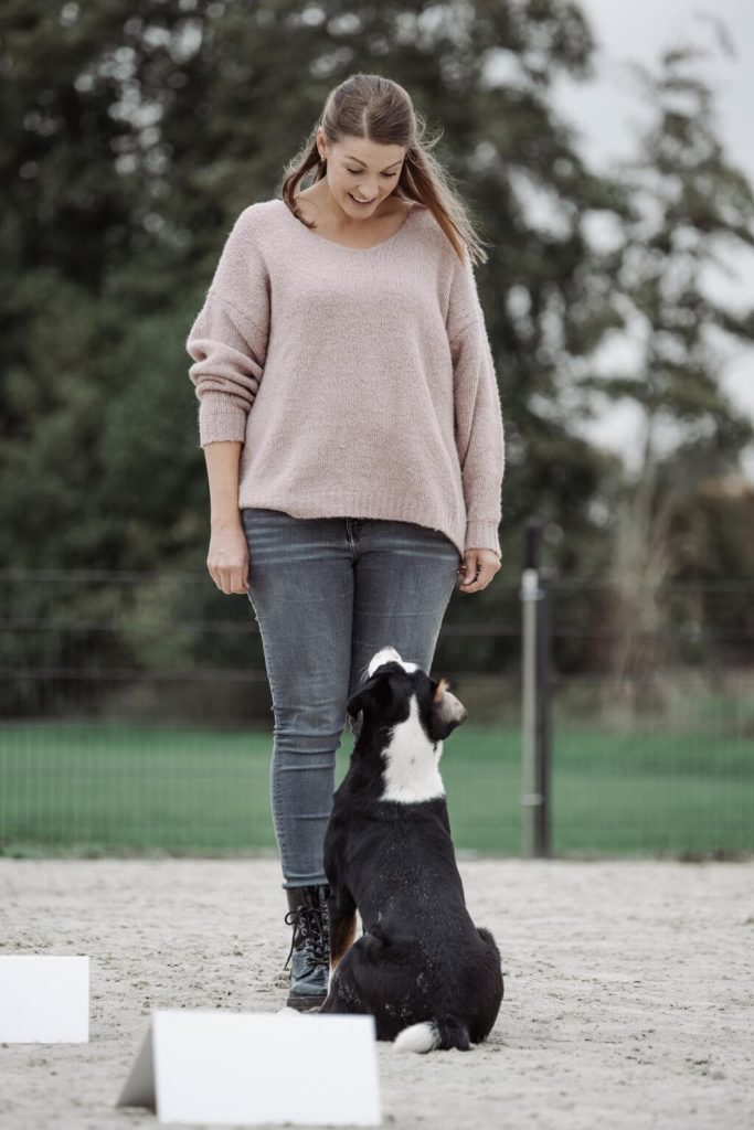 Schwarz, weiß, brauner Hund sitzt vor einer lächelnden Frau auf dem Hundeplatz