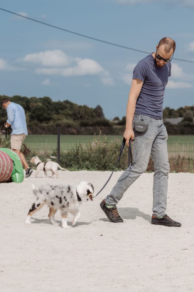 Zwei Männer gehen mit ihren Welpen an der Leine über den Hundeplatz. Einer befindet sich im Vordergrund, der andere läuft im Hintergrund aus dem Bild raus.