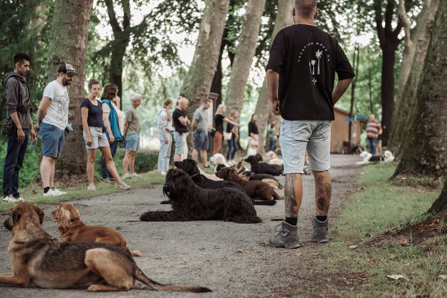 Mehrere Hunde liegen nebeneinander auf einer Allee. Die Hundehalter stehen am Rand. Im Vordergrund steht Florian Symanzig, der das Training leitet
