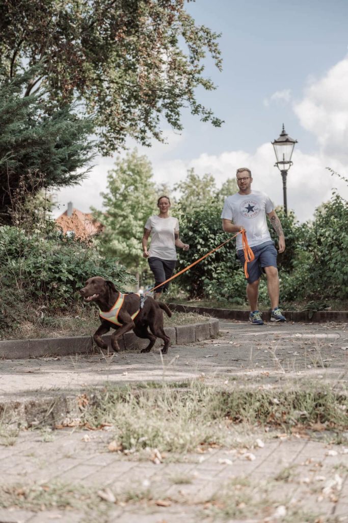 Dunkelbrauner Hund trägt ein Suchhundegeschirr und rennt um eine Ecke. Am anderen Ende der orangenen Leine ist ein Mann, der dem Hund folgt. Dahinter läuft eine Frau