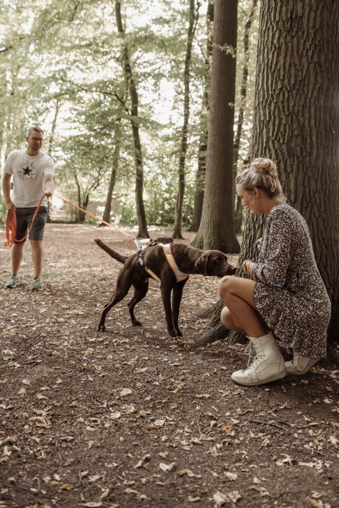 Dunkelbrauner Hund mit Suchhundegeschirr hat beim Mantrailing eine Frau gefunden, welche hinter einem Baum sitzt. Der Hundehalter steht links im Bild und hat die Leine in der Hand
