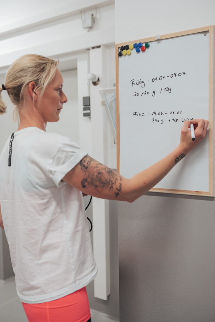 Hundepflegerin schreibt alle Daten zu einem Hund im Hundehotel auf ein Whiteboard.