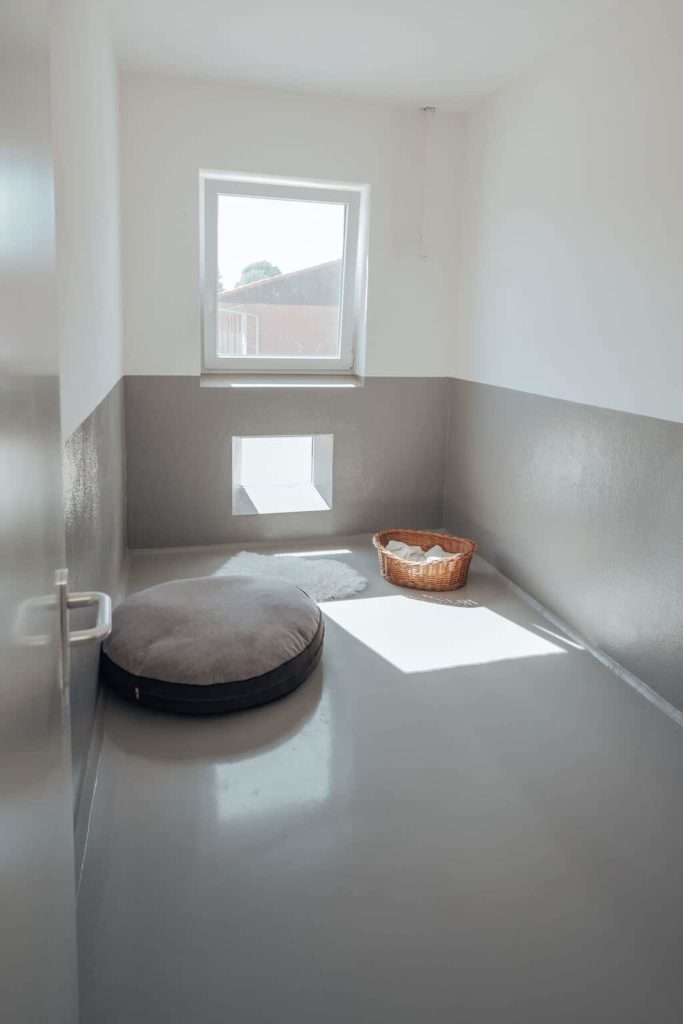 Ein Zimmer im komm! Hundehotel mit zwei Hundebetten. Ein Fenster auf Sichthöhe der Hunde, damit sie nach draußen schauen können.