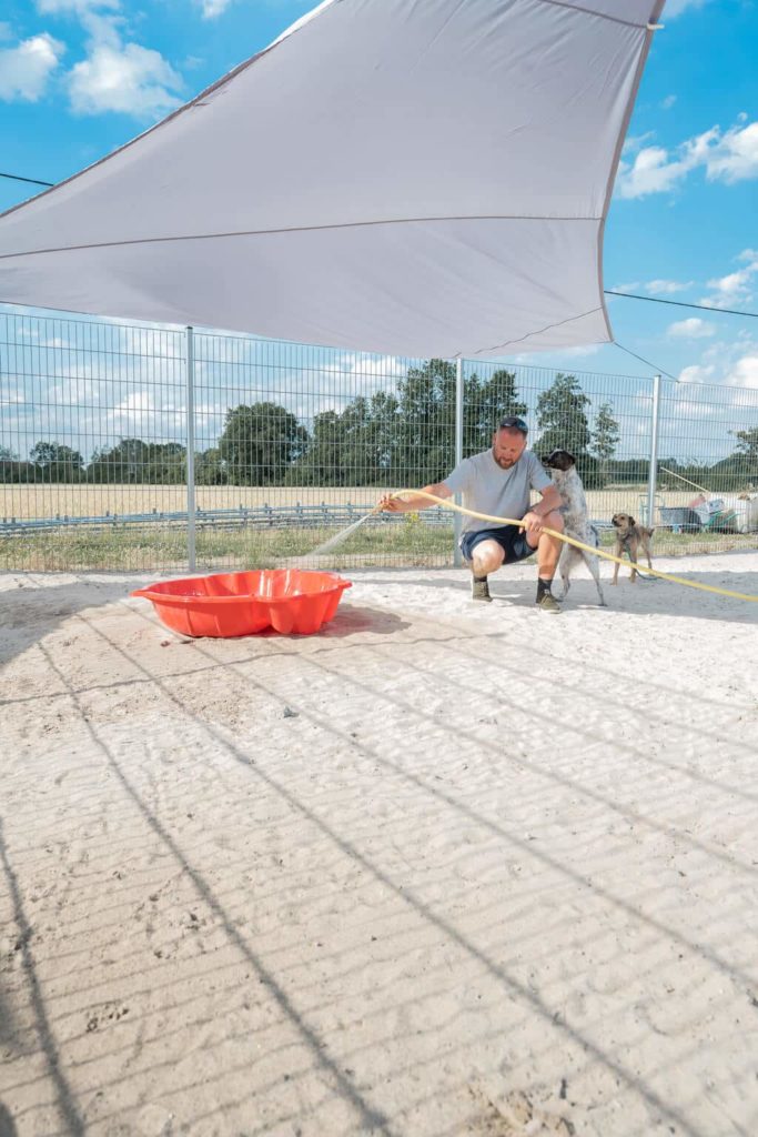 Florian Symanzig füllt das Planschbecken im Freilauf des Hundehotels mit Wasser, während ein Hund mit ihm interagiert