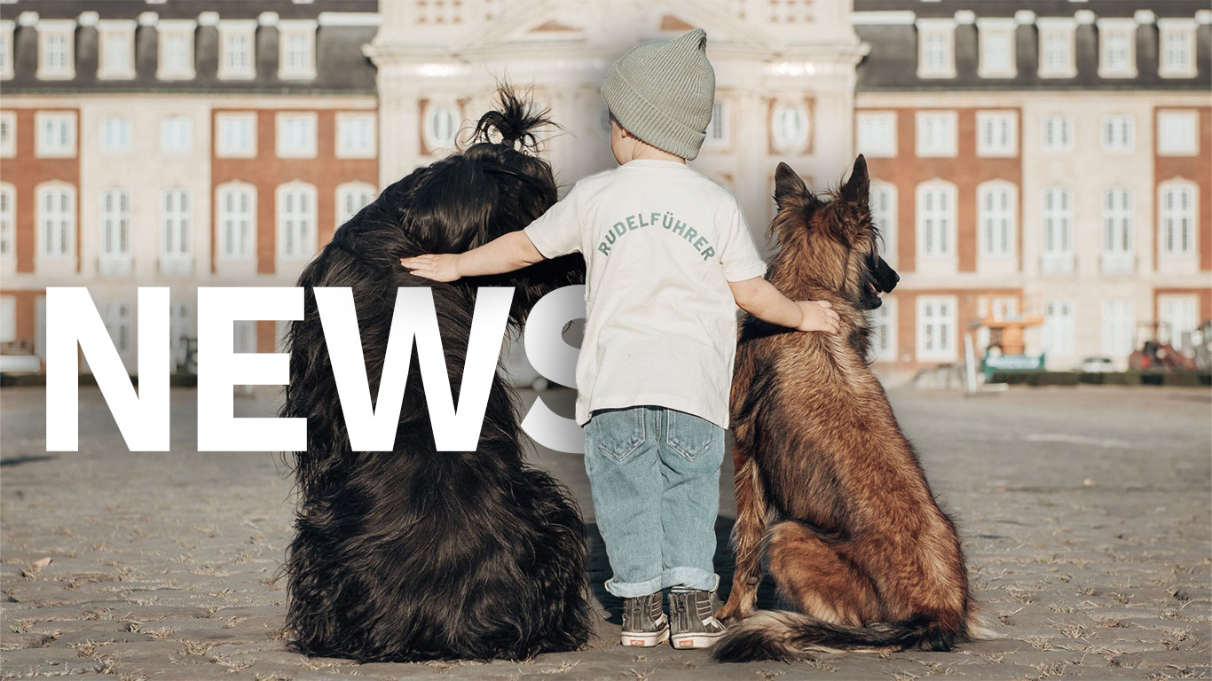 Kind steht mit zwei Hunden vor dem Schloss in Münster. Die Hunde sitzen links und rechts von dem Kind. Zwischen dem Hund und Kind befindet sich der Schriftzug "News"