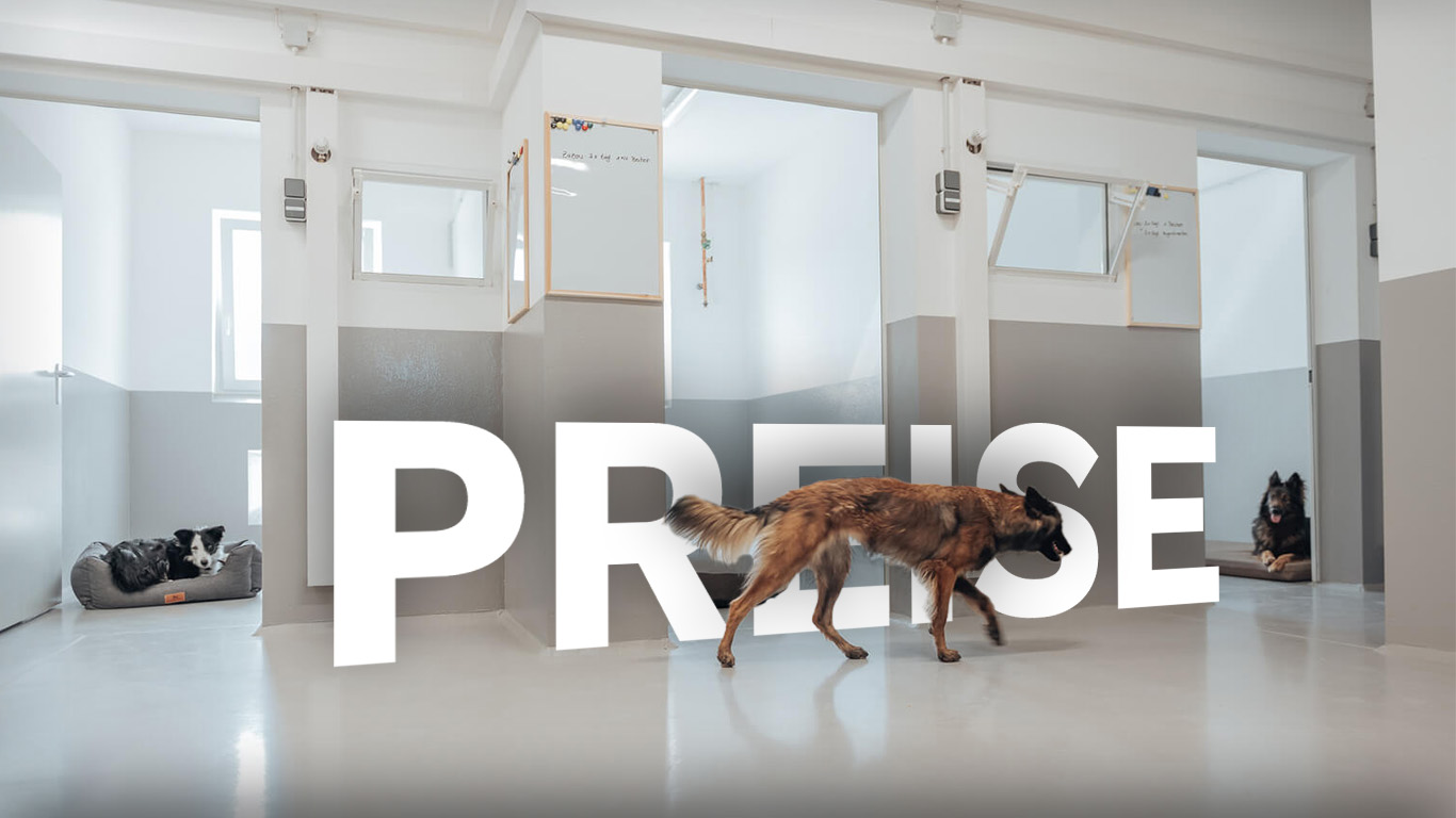 Hero-Bild: 3 Zimmer im Hundehotel der Komm! Zwei Hunde Liegen auf den Kissen im Zimmer. Ein Hund läuft vorne durchs Bild und dahinter ein Schriftzug "Preise"