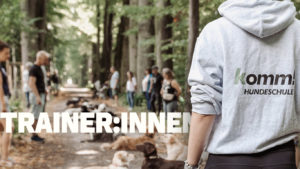 Hero Bild für die Trainer:innen-Seite. Mehrere Hunde liegen in der Mitte einer Allee im Platz. Die Hundehalter stehen am Rand der Allee. Im Vordergrund befindet sich ein Hundetrainer mit einem Hoodie der komm Hundeschule. Daneben befindet sich der Schriftzug "Trainer:innen"