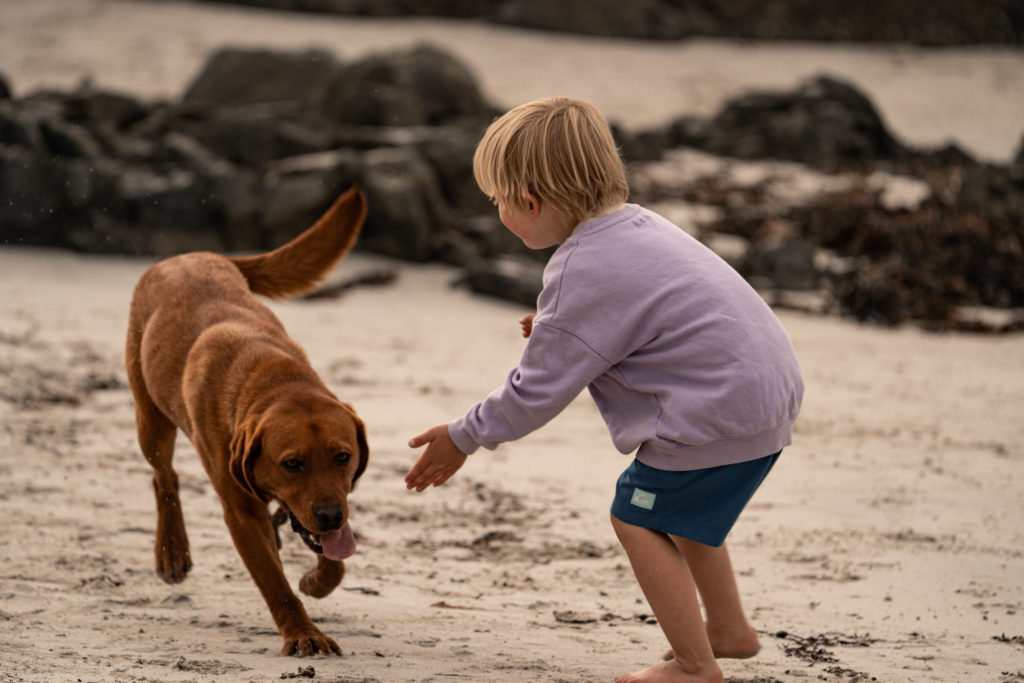 Kind und Hund Spielen am Strand mit Steinen im Hintergrund.