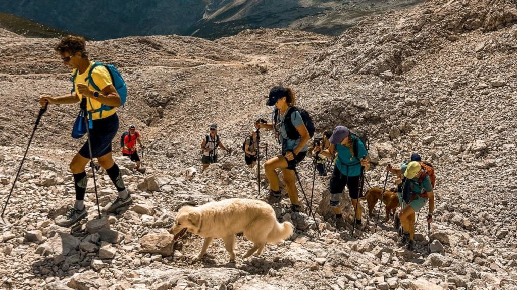 Mehrere Wanderer mit Wanderstöcken laufen einen steinigen Berg hoch. Mehrere Hunde laufen mit.